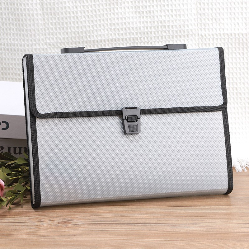 File Organizer Bag