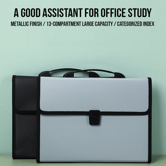 File Organizer Bag