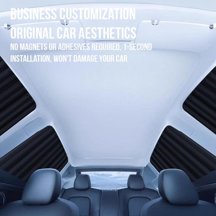 Car Window Curtain