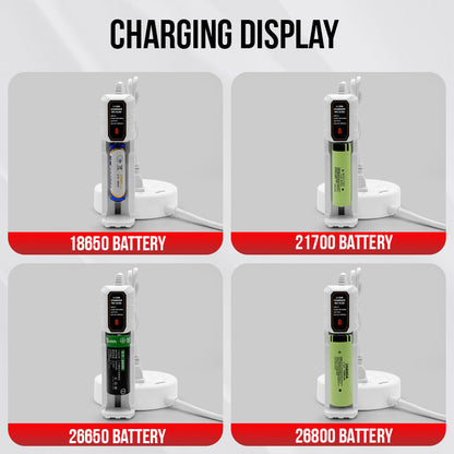 Smart Battery Charger