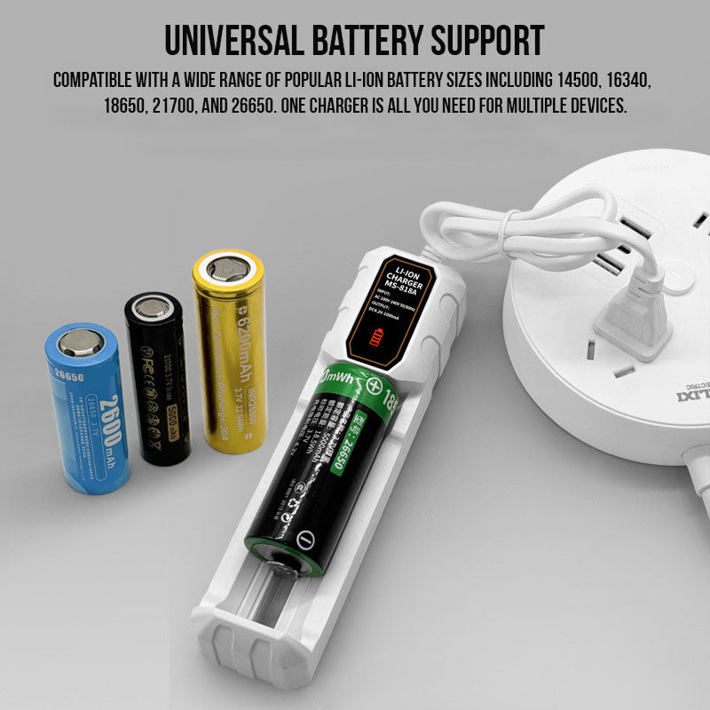 Smart Battery Charger