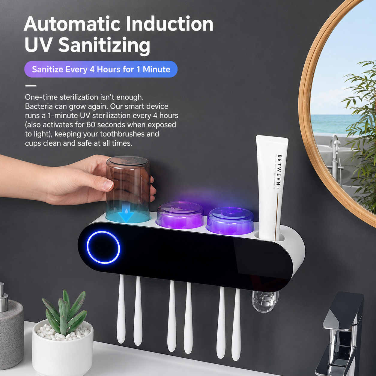 Toothbrush Holder