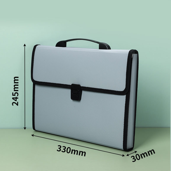 File Organizer Bag