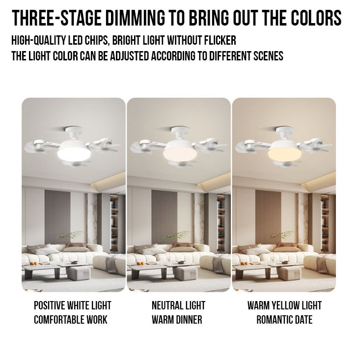 FanLight Pro