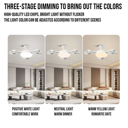 FanLight Pro