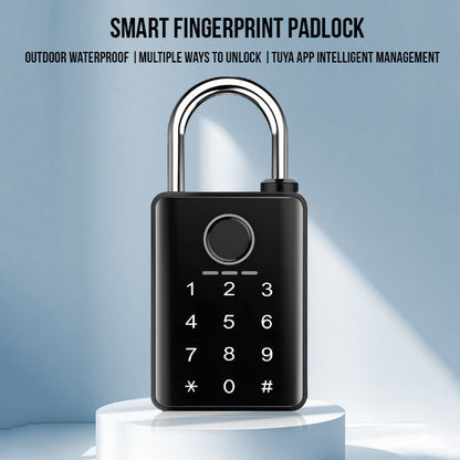 SmartLock Pro