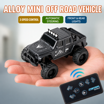 TrailMini RC