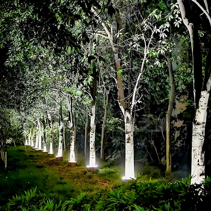 Tree Halo Light