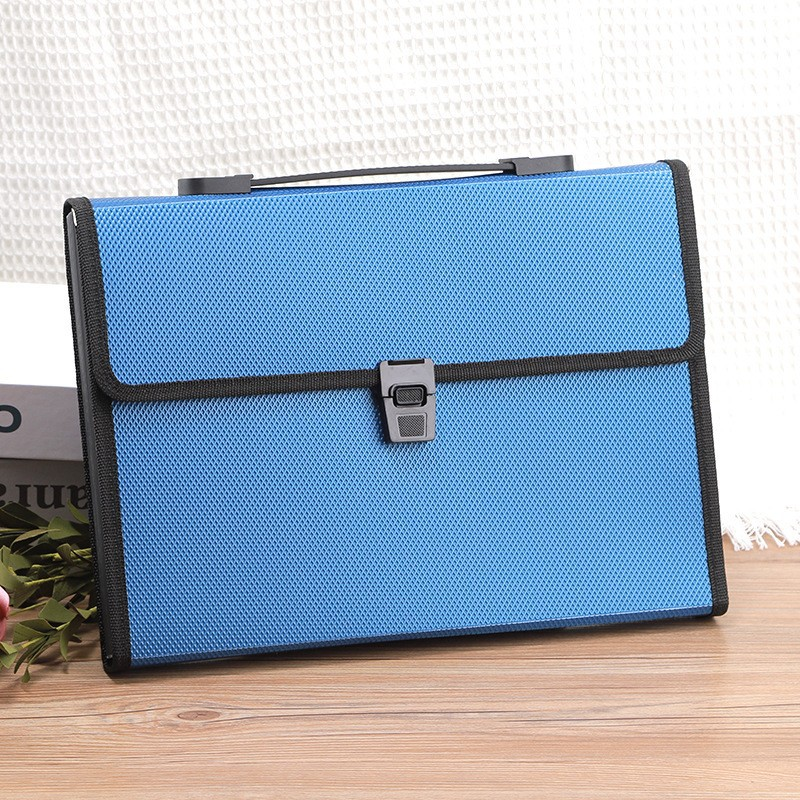 File Organizer Bag