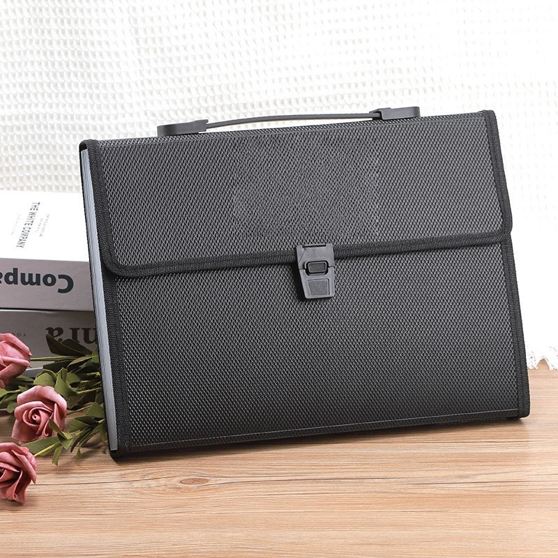 File Organizer Bag