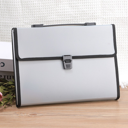 File Organizer Bag
