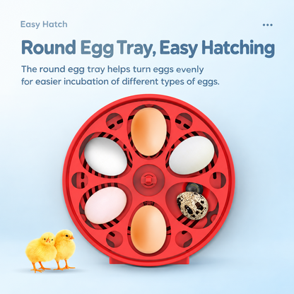 Smart USB Egg Incubator
