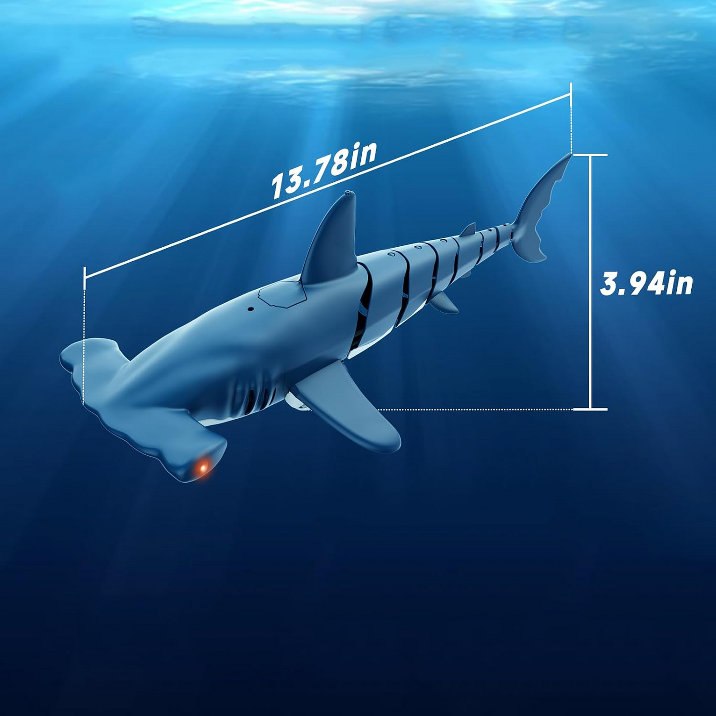 AquaShark RC