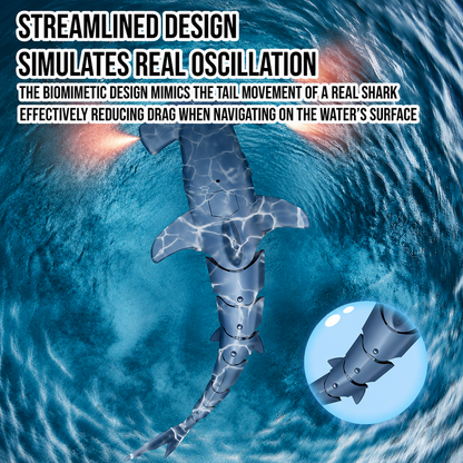 AquaShark RC