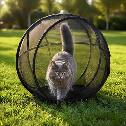 RollPaw Cat Ball