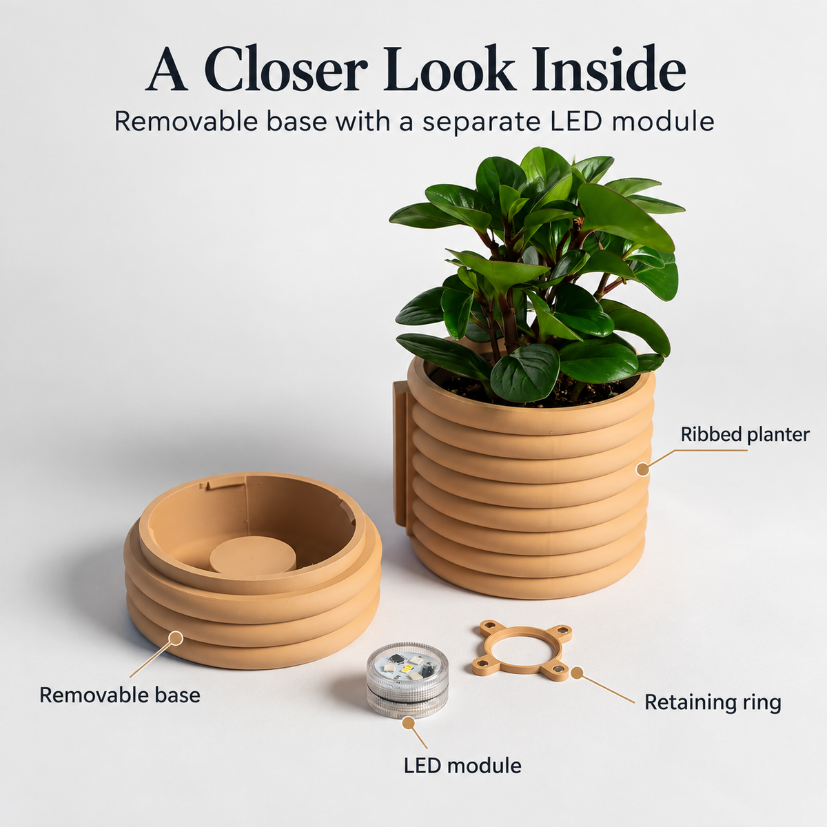 LED Wall Planter with Remote Control